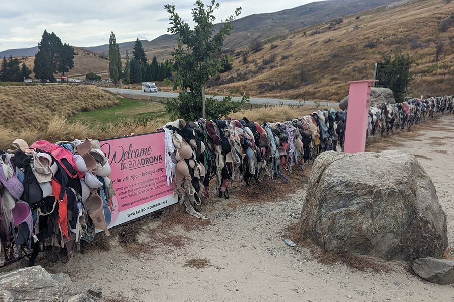 The Cardrona Bra Fence NZ